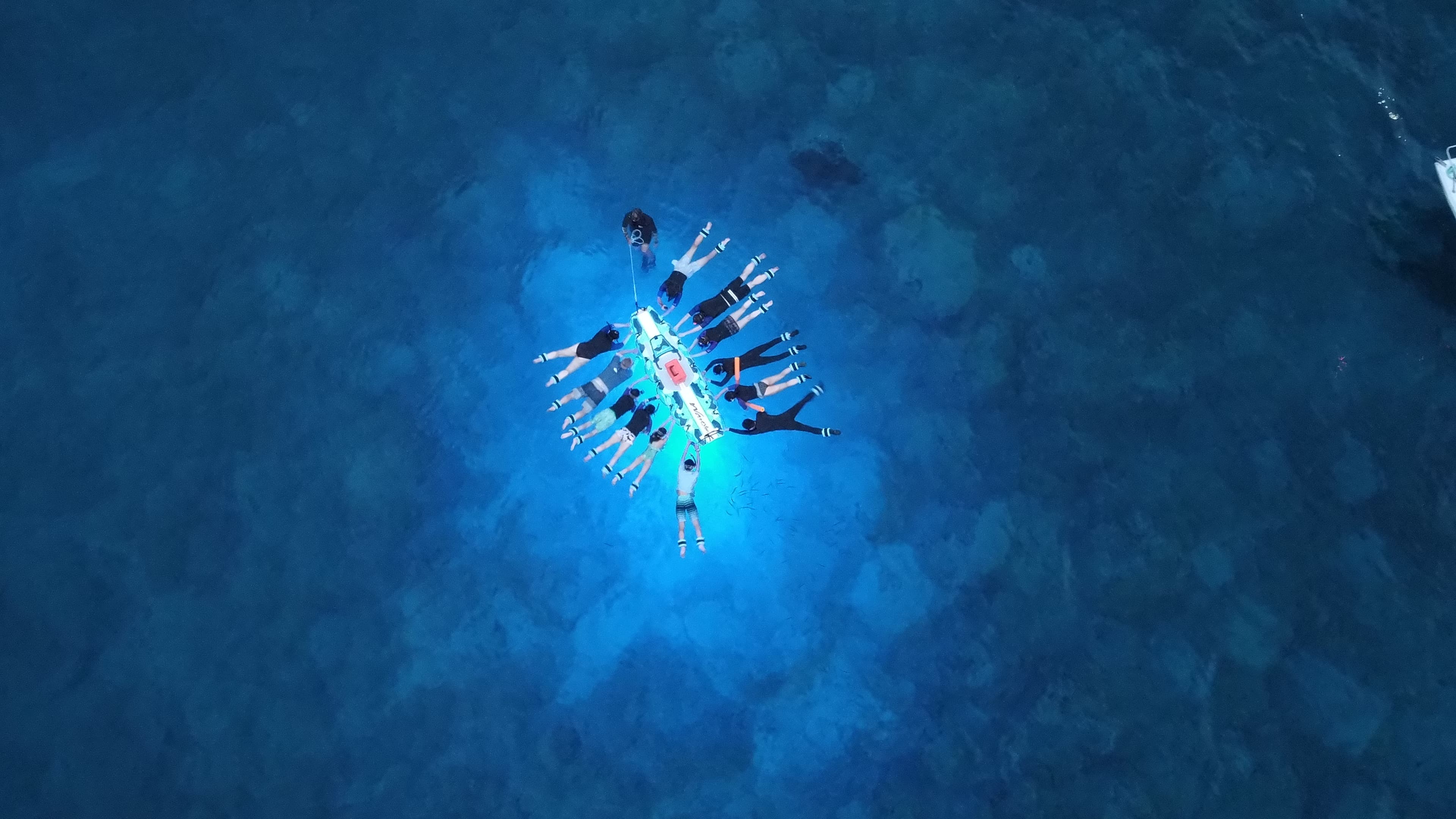 The Ultimate Manta Ray Night Snorkel Guide