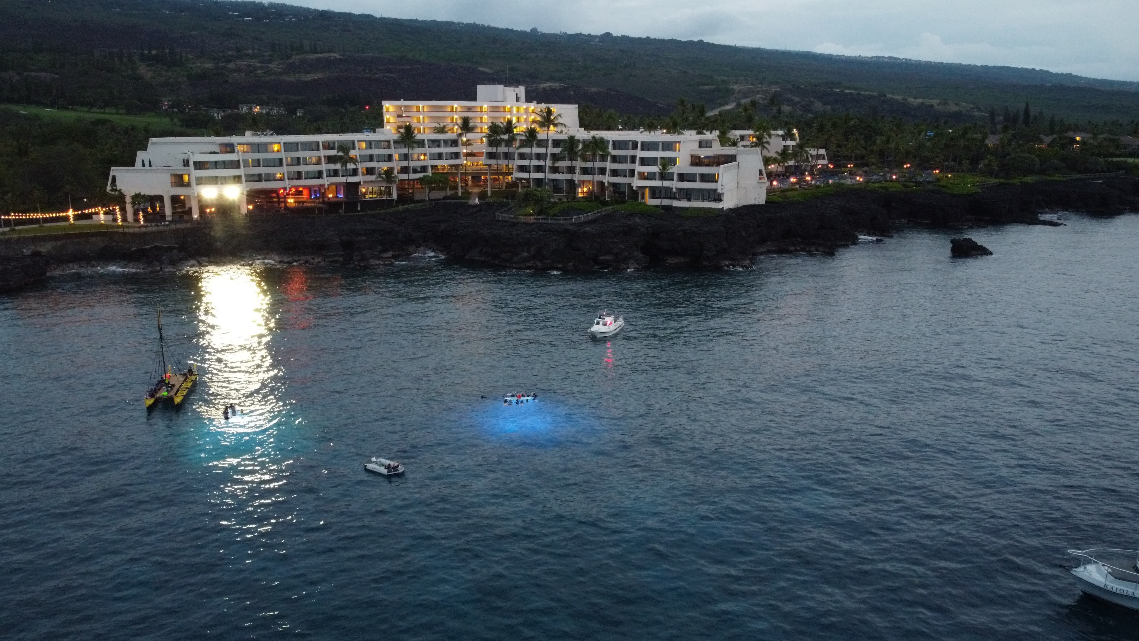 Manta Ray Snorkel Tours: Manta Magic vs. Manta Mania