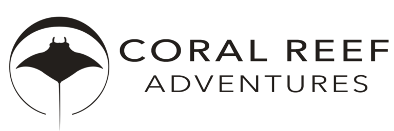 Coral Reef Snorkel Adventures
